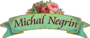 michal negrin